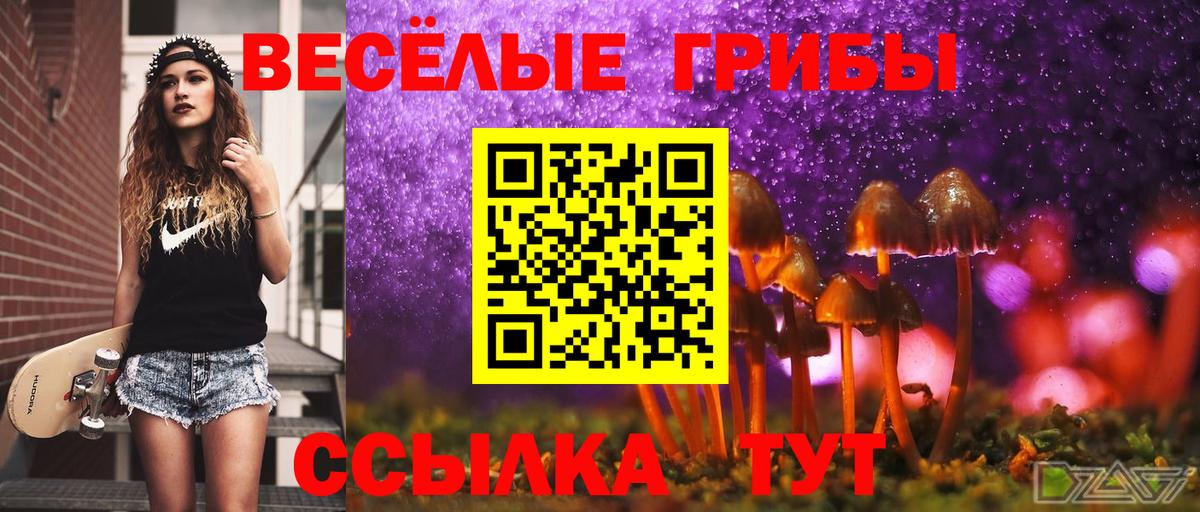 Галлюциногенные грибы мухоморы  Псилоцибиновые грибы Psilocybine cubensis  Назрань  Вход с VPN 